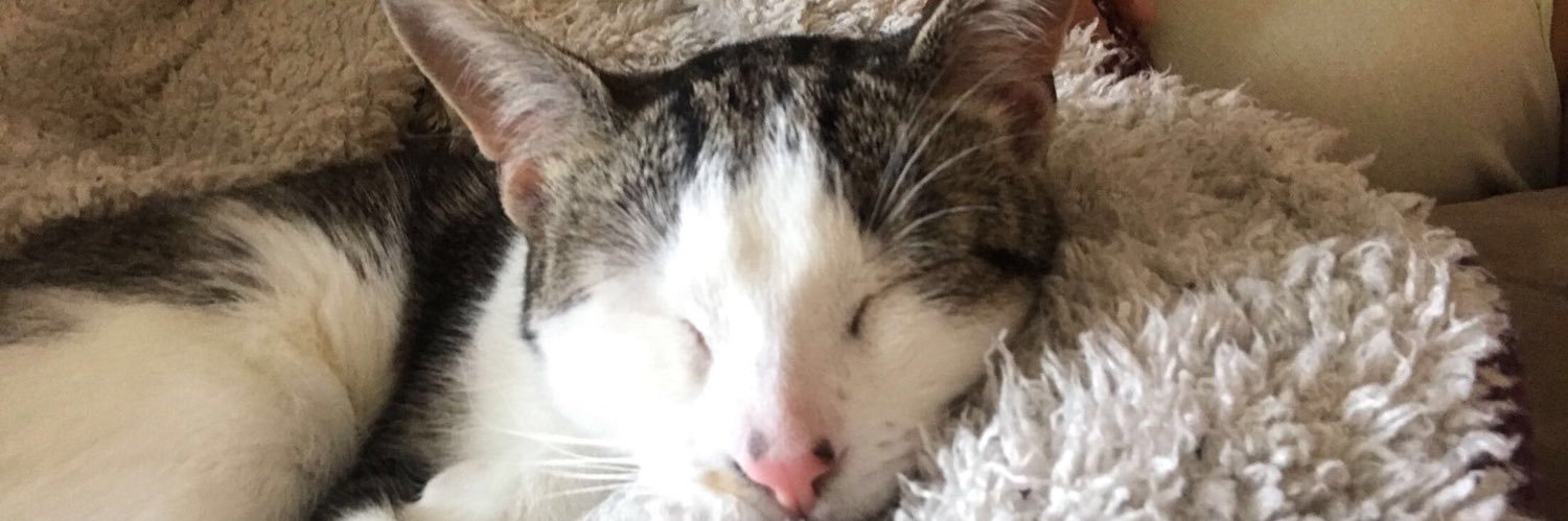Michellebruiz_'s profile banner image