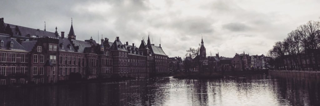 lucideview's profile banner image