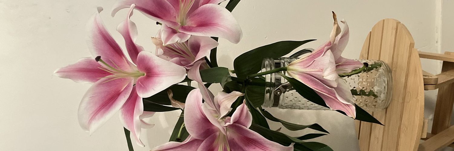 ayis camaba usk’²⁶ 🏝️ banner