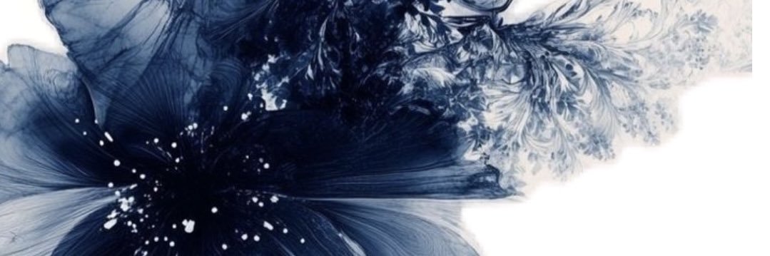 C_C01_101's profile banner image