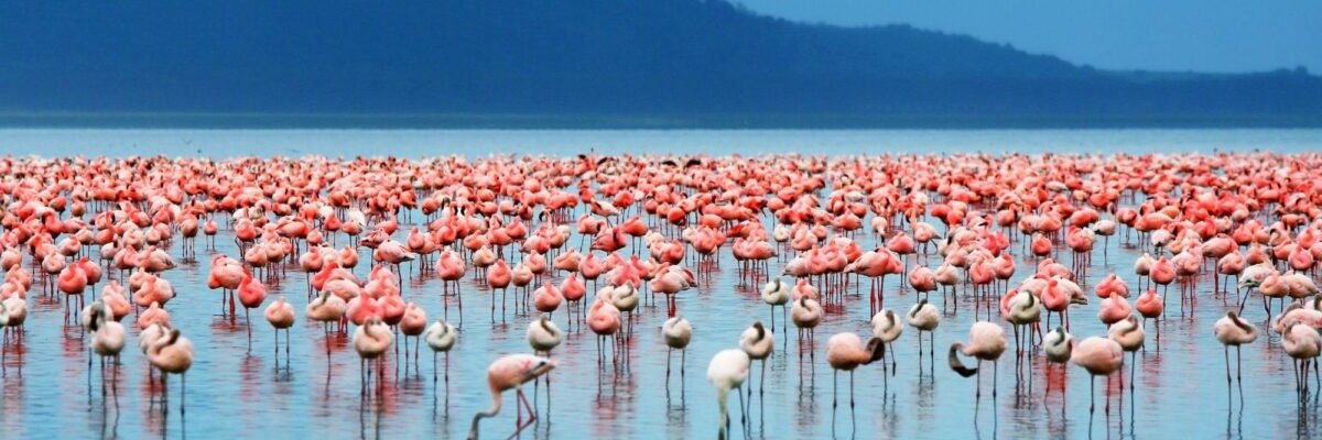 NakuruAutoJanet's profile banner image