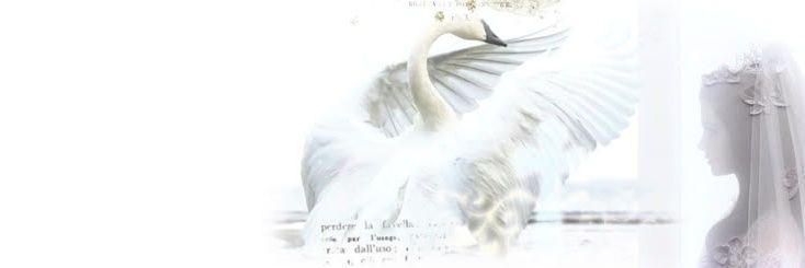 mori banner