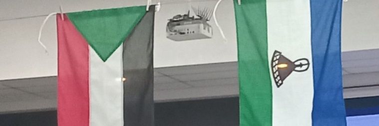 malome Sekoala banner