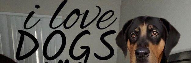 knottingkinky banner