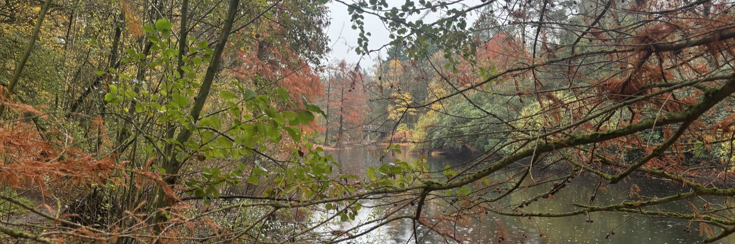 Drs. el Patron Doniwab banner