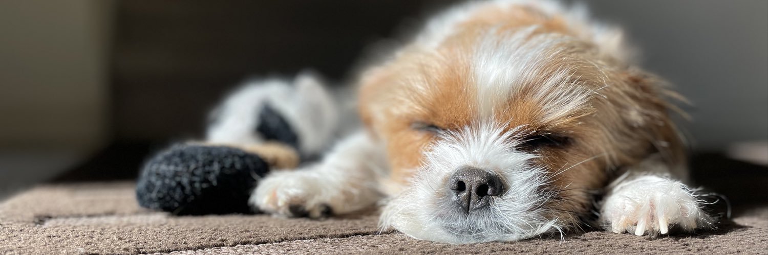 Bryson V. Lester banner