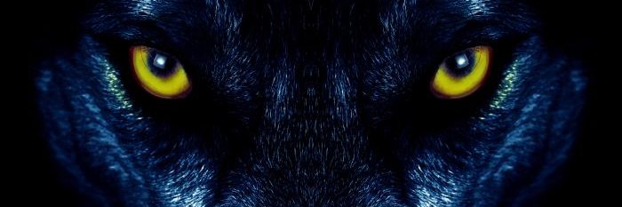 CemArsslan's profile banner image