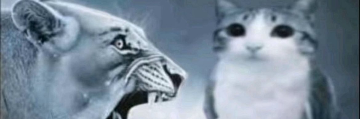 freaky_fr3d's profile banner image
