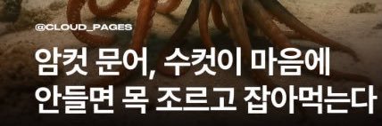 아읏사이더 banner