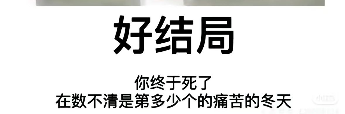 雪 banner