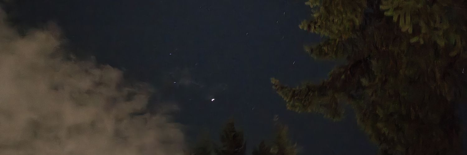 Queen Eevie 🩰 ✨ banner