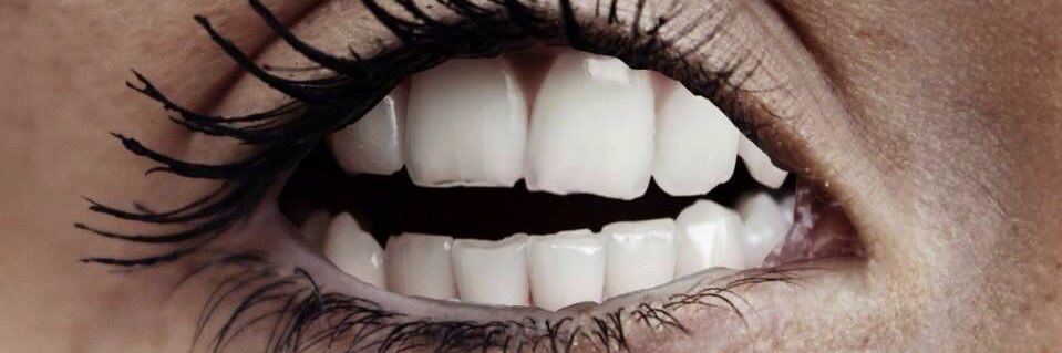 느개비따개비루 banner