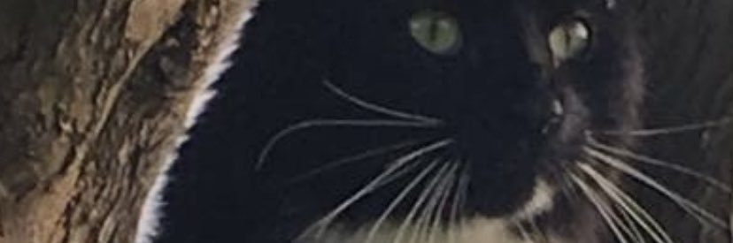 garyprc's profile banner image