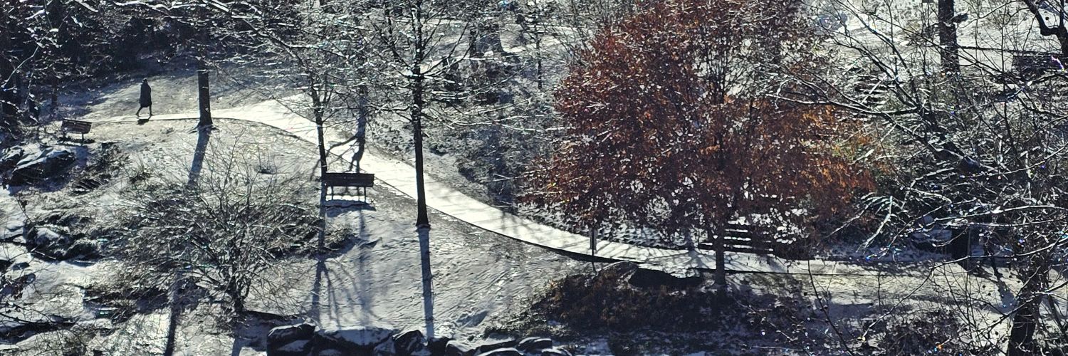david_mayberry's profile banner image