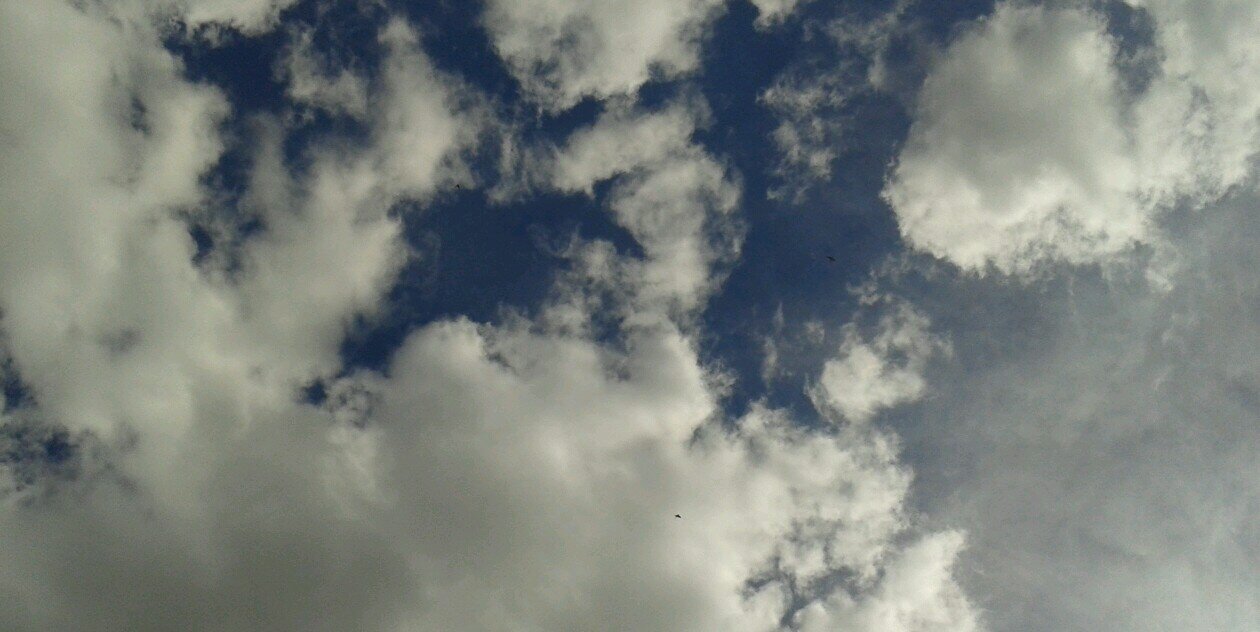 Marc Vilajuana banner