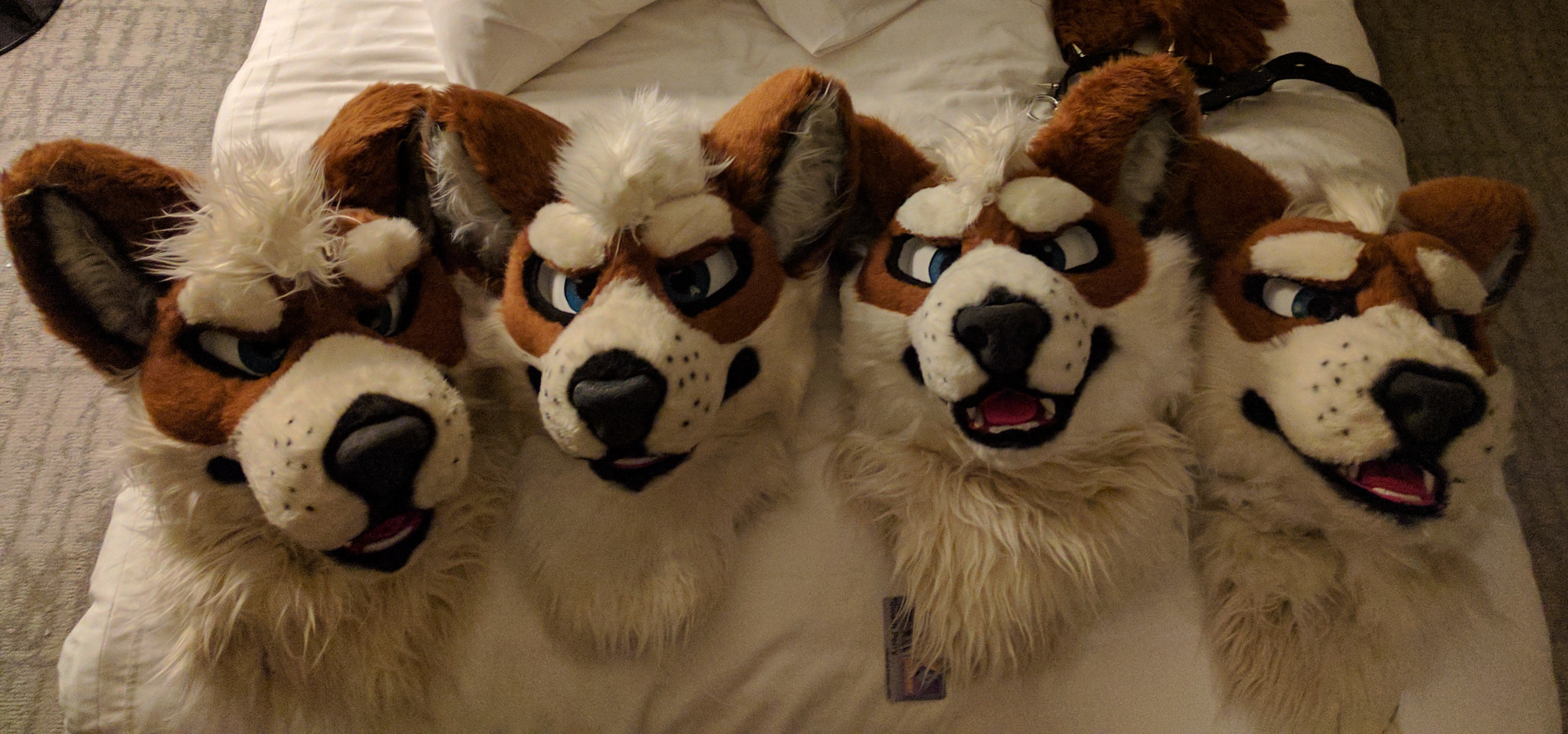 The Bad Fire Dog banner