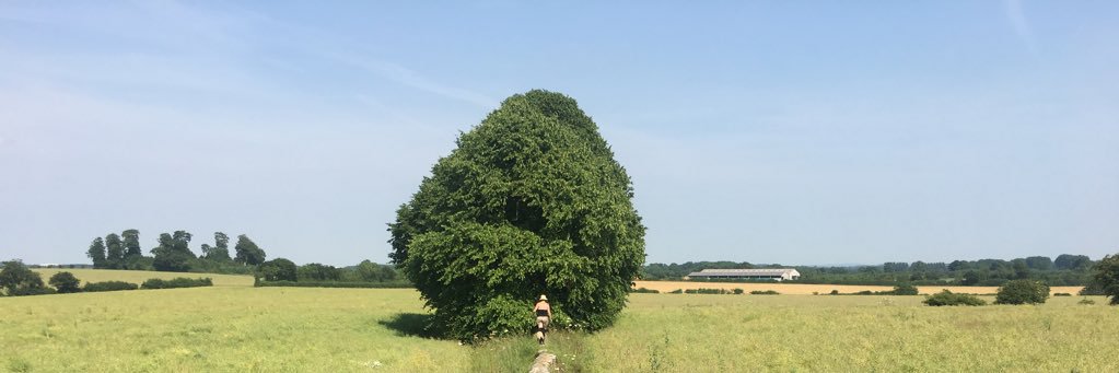piripi23's profile banner image