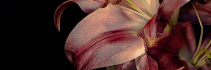 memmoriam's profile banner image