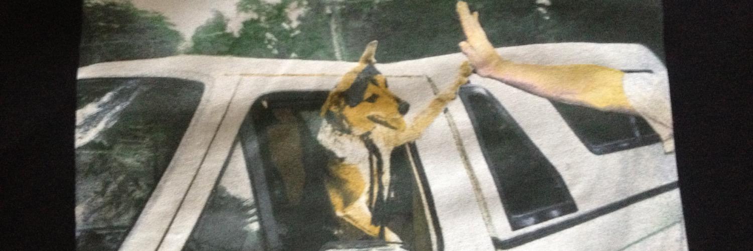 bberkob's profile banner image