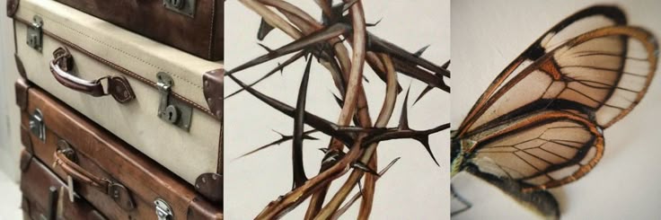 ʎuoɹ ⋆'s banner