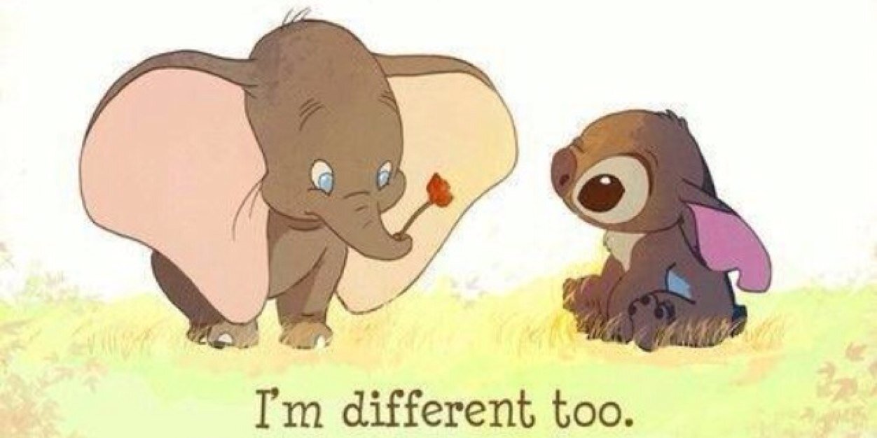 أليفة عصام banner