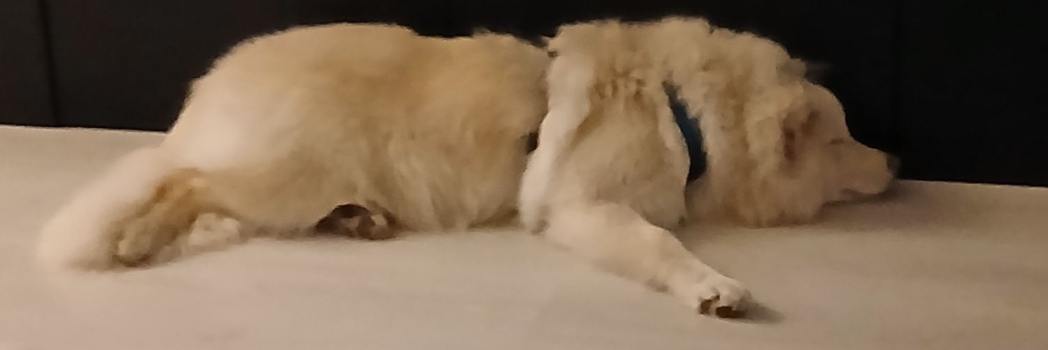 teachingmedic's profile banner image