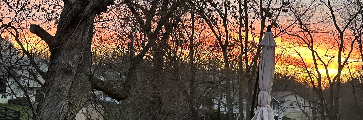 scarlet21's profile banner image