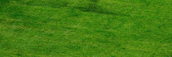 neyyprop Profile Banner