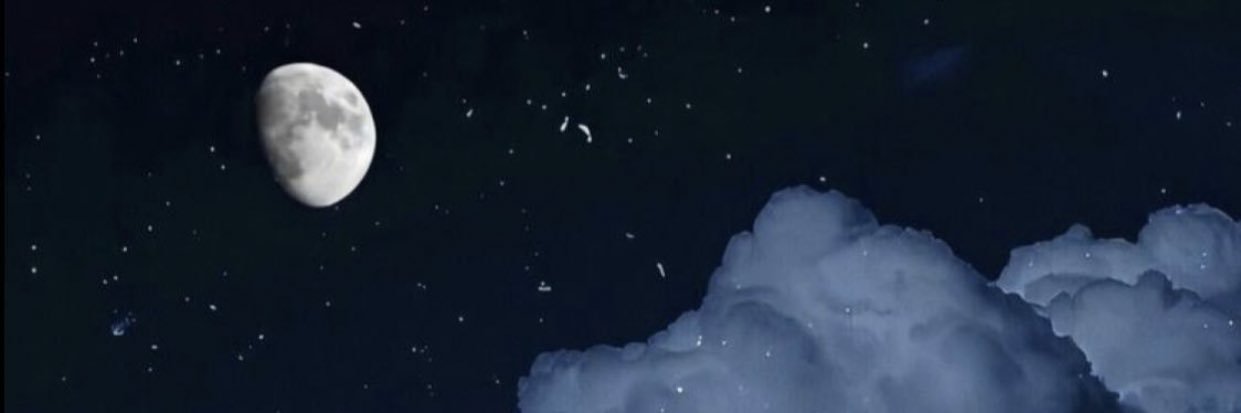 zleonelah's profile banner image