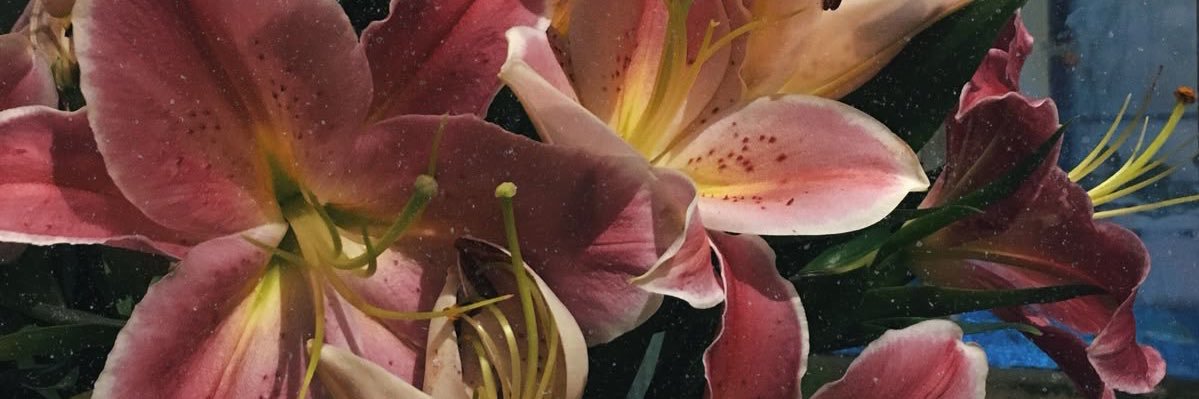 httpsudenaz's profile banner image