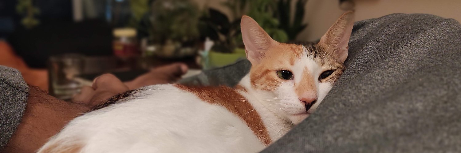 Shashwata Datta banner