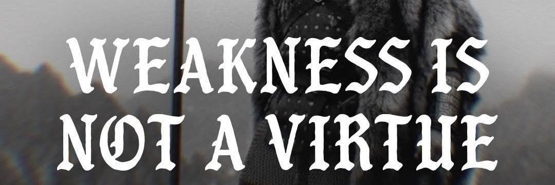 𝖀𝖑𝖙𝖗𝖆 𝖁𝖔𝖑𝖙 banner