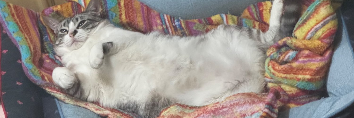 ellebenta's profile banner image