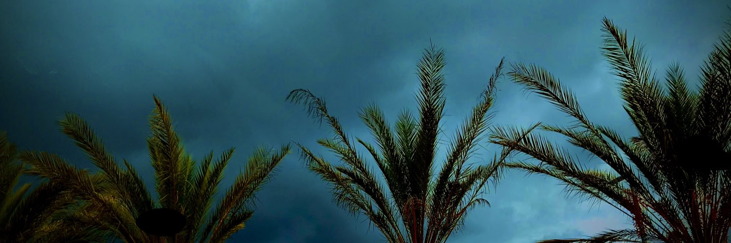robynempls's profile banner image