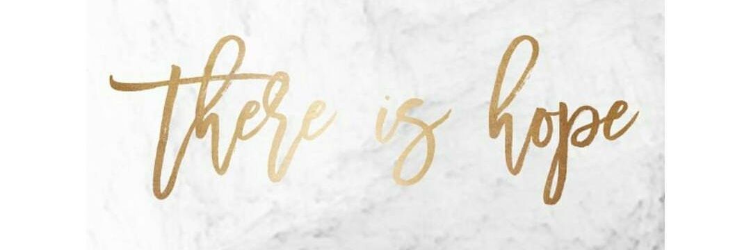 qardenrose's profile banner image