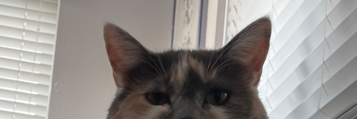 nuggetgoblin's profile banner image