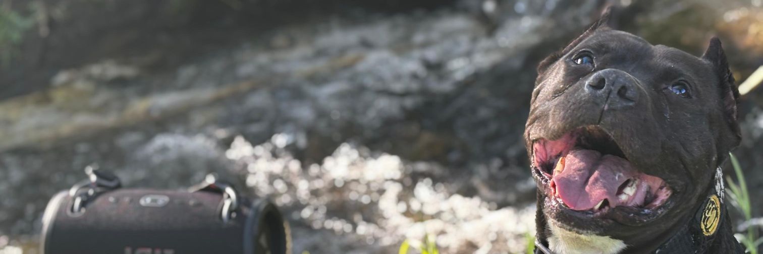 UmutCanUmurr's profile banner image