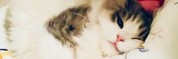 YosugA56's profile banner image