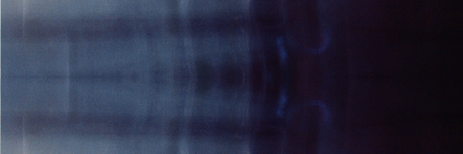 Mathieu Karsenti banner