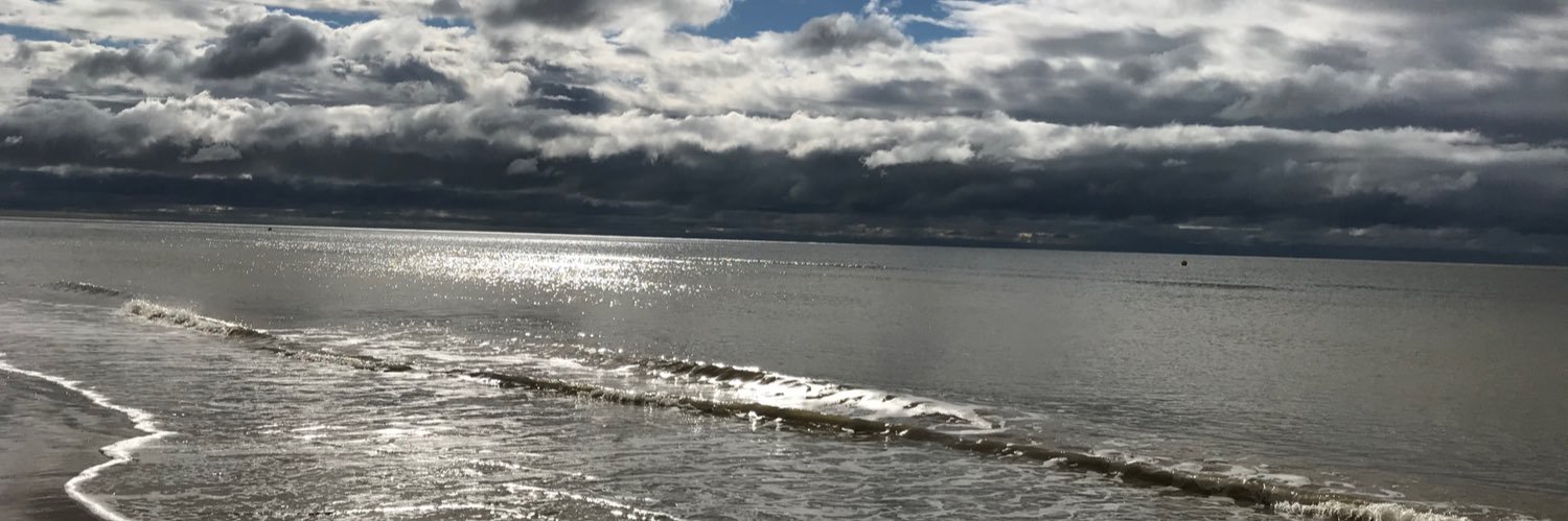 Mick Fitzgerald banner