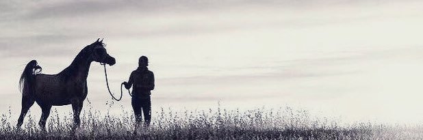 R__FCB's profile banner image