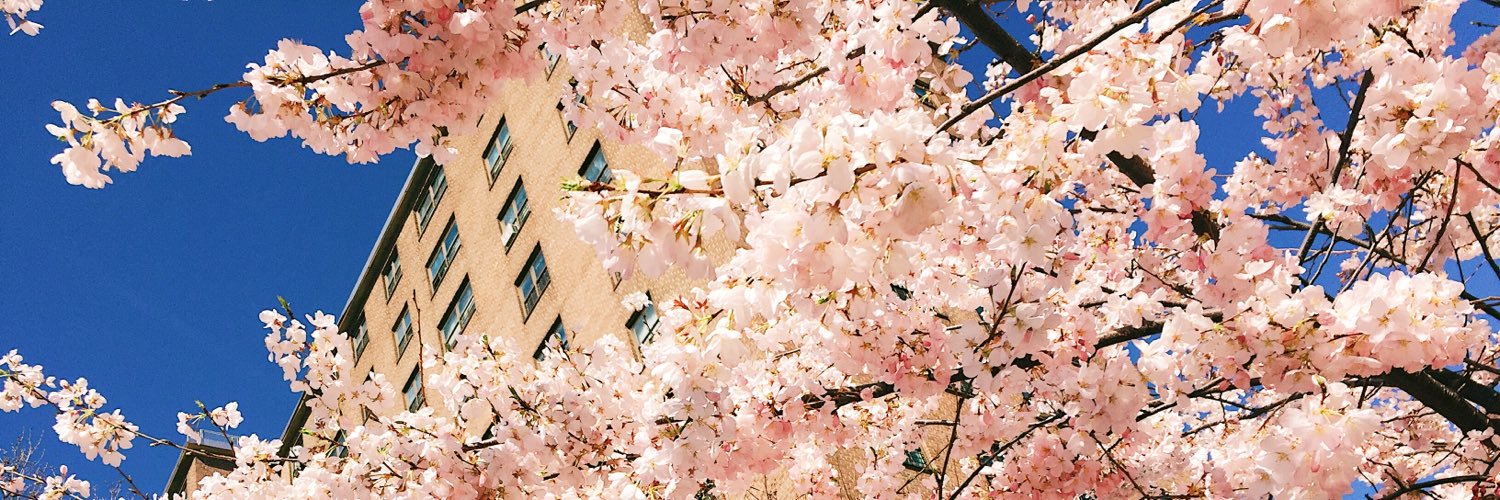 ItsNatalieEdgar's profile banner image