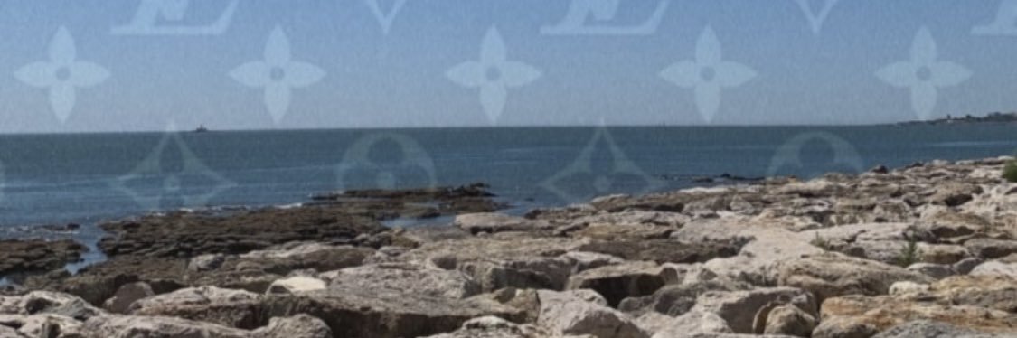X_A3A12's profile banner image