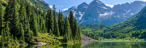 Dave Wilderness banner