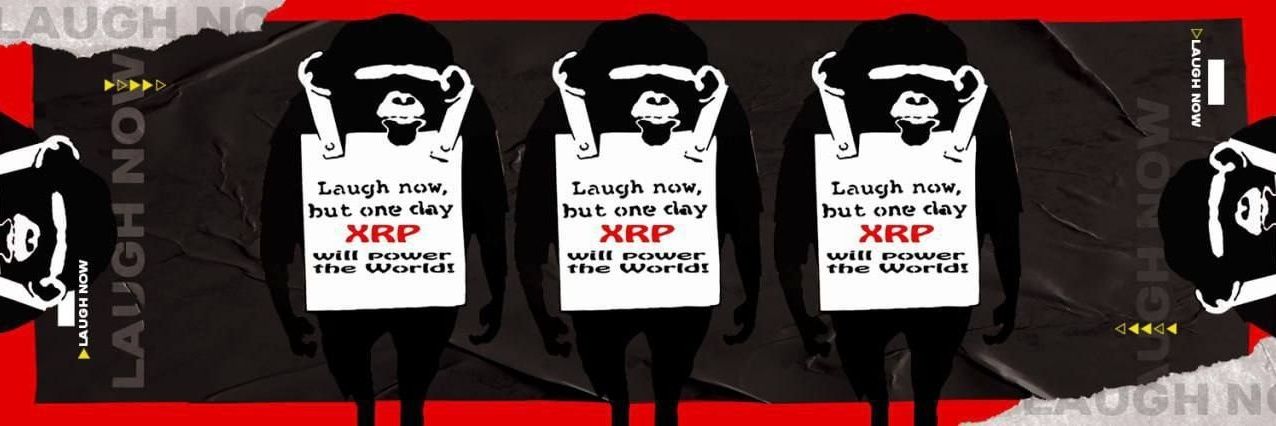 B-Rad banner