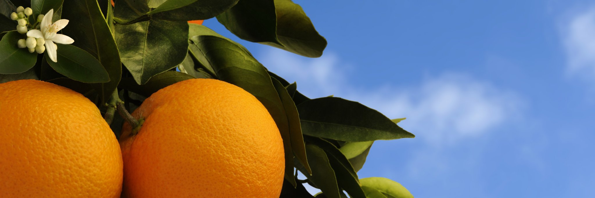ValledeLecrin's profile banner image
