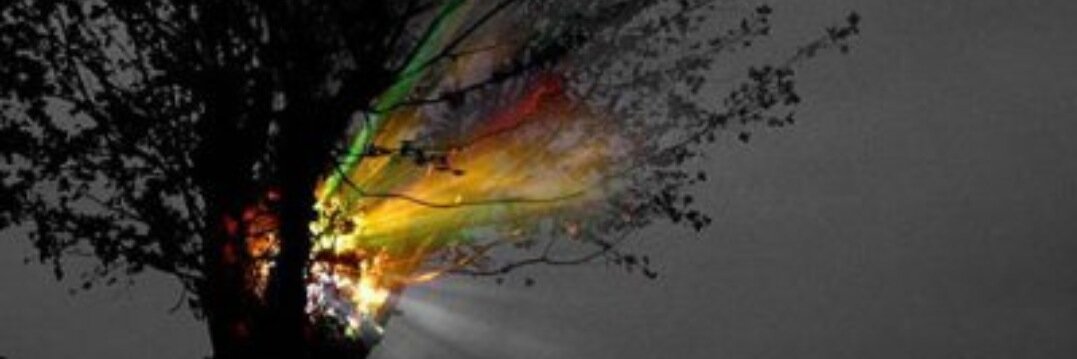 Carps1124's profile banner image