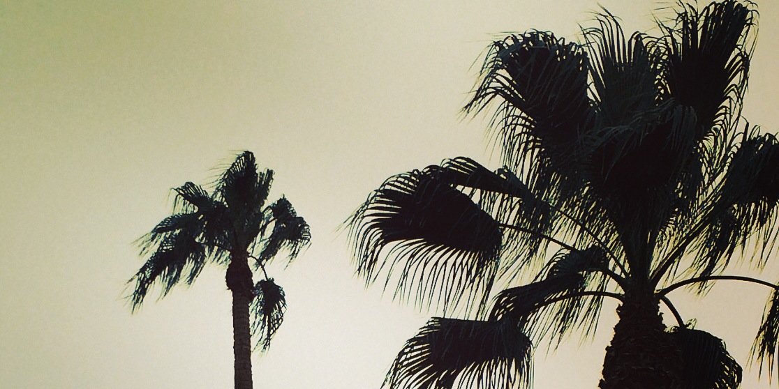 paulritmo's profile banner image