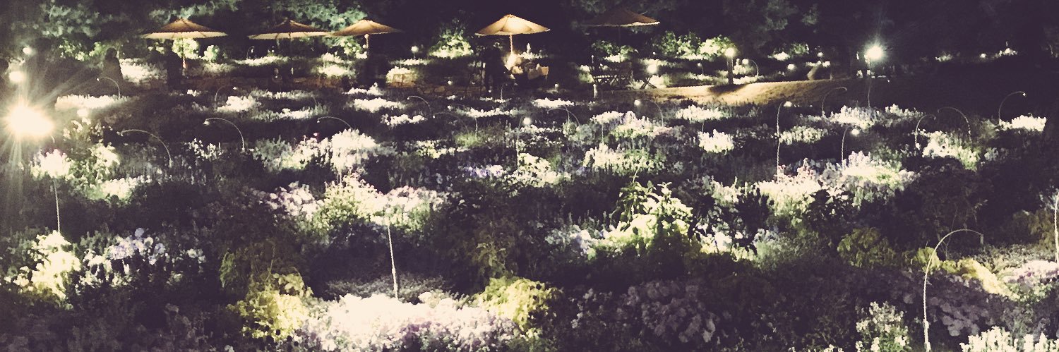kzy0719's profile banner image