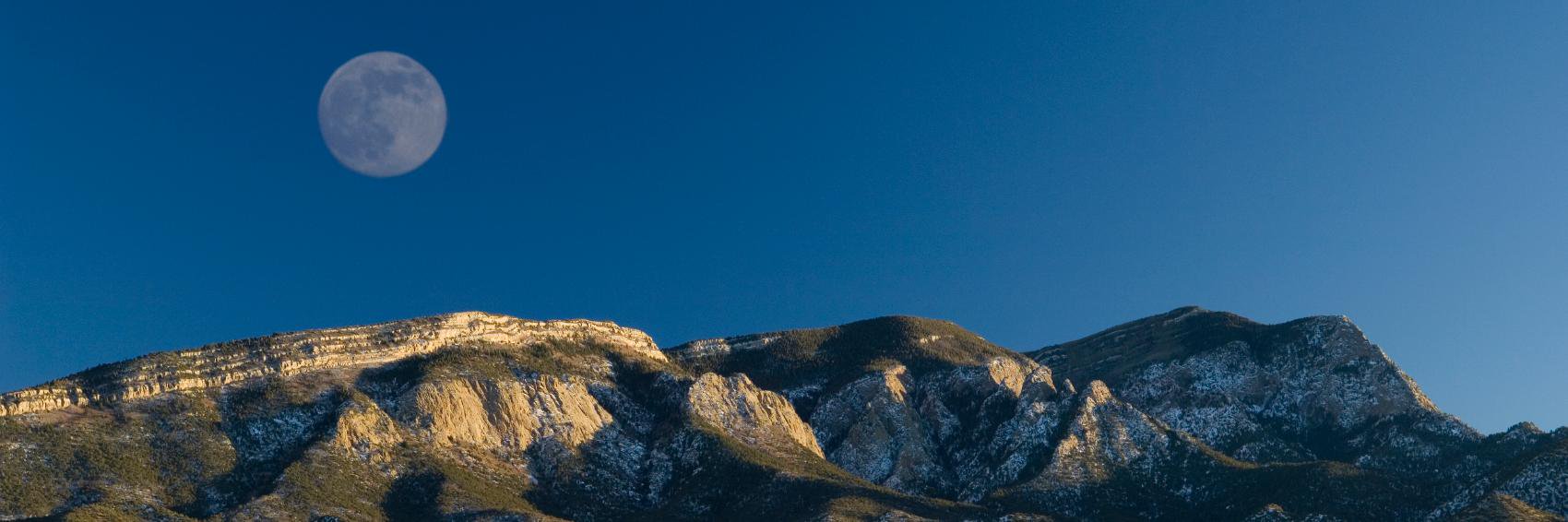 Ben J. Lewinger banner